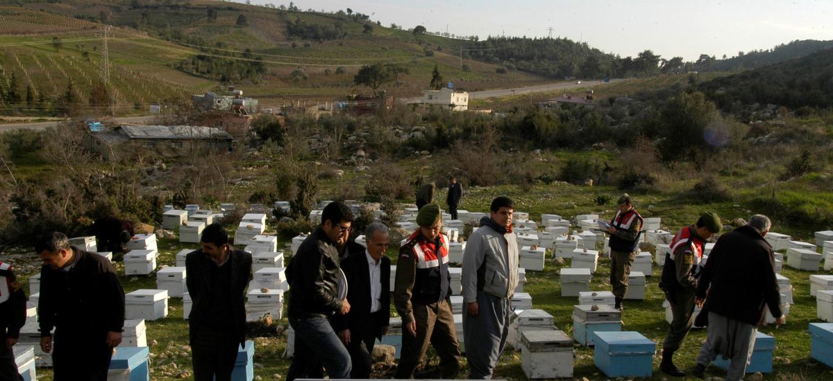 Jandarmadan Arı Kovanı Operasyonu