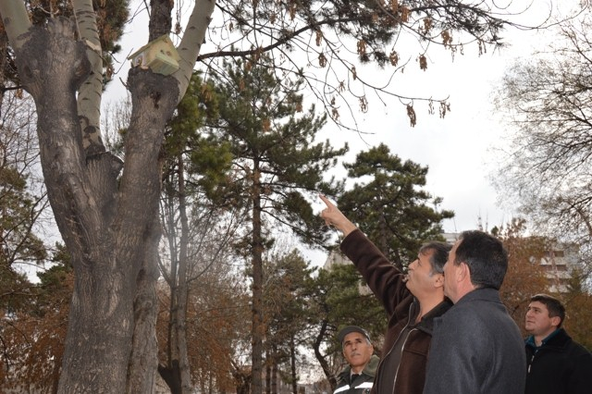 Kocasinan Belediyesinden Kuşlara Yuva Şefkati