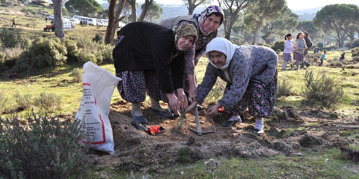 Orman İşletme 2013\'te Hedef Büyüttü