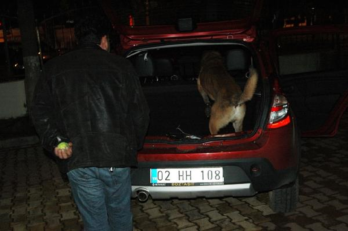 Özel Eğitimli Köpek \'Atak\' Kokaini Buldu