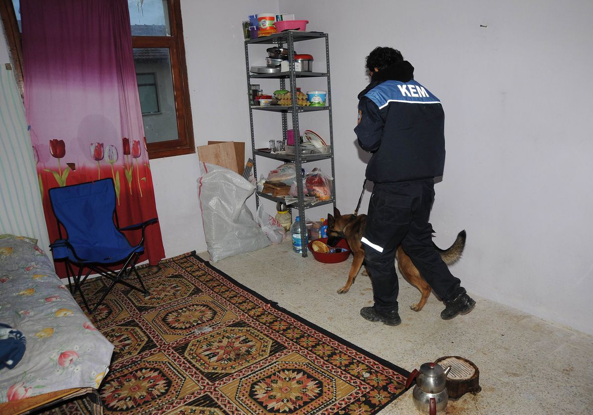 750 Polisle Şafak Vakti Hipodrom Baskını