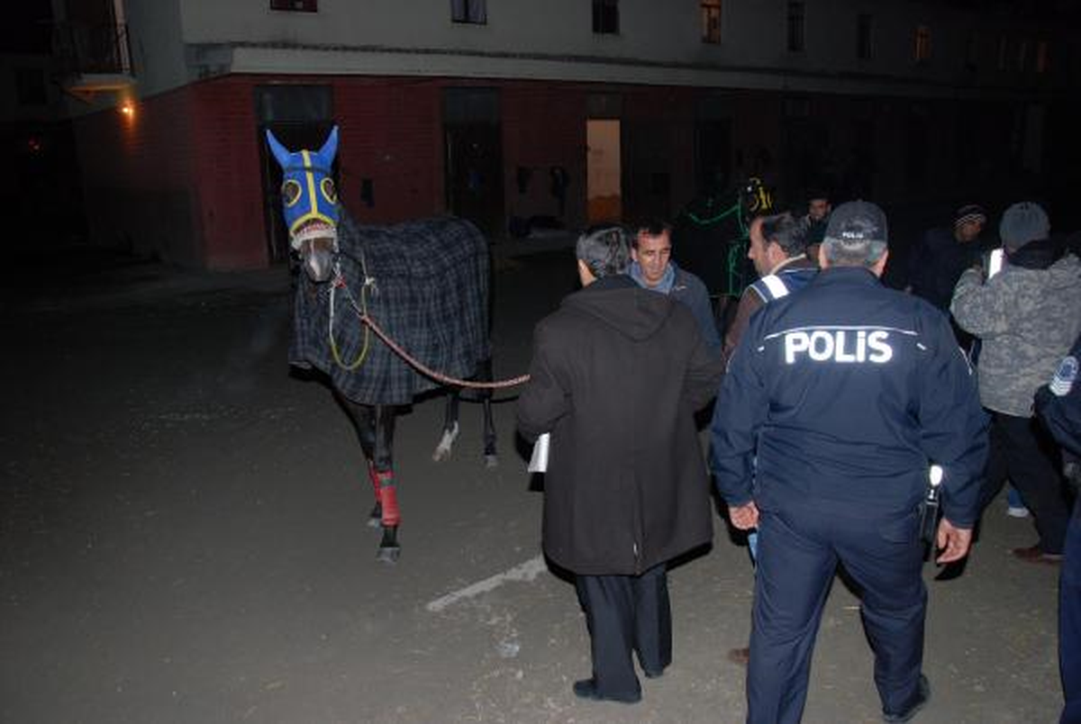 Adana Hipodromu\'na 650 Polisle Şafak Baskını