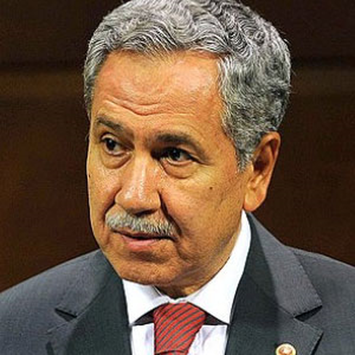 Arınç: Örgütün Silah Bırakması Mümkün