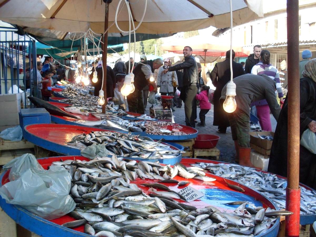 Balık Tezgahlarını "İthal Uskumru" Süslüyor