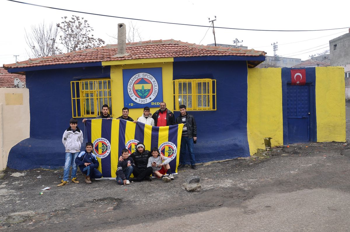 Fanatik Amigo Evini Sarı - Lacivert Boyadı