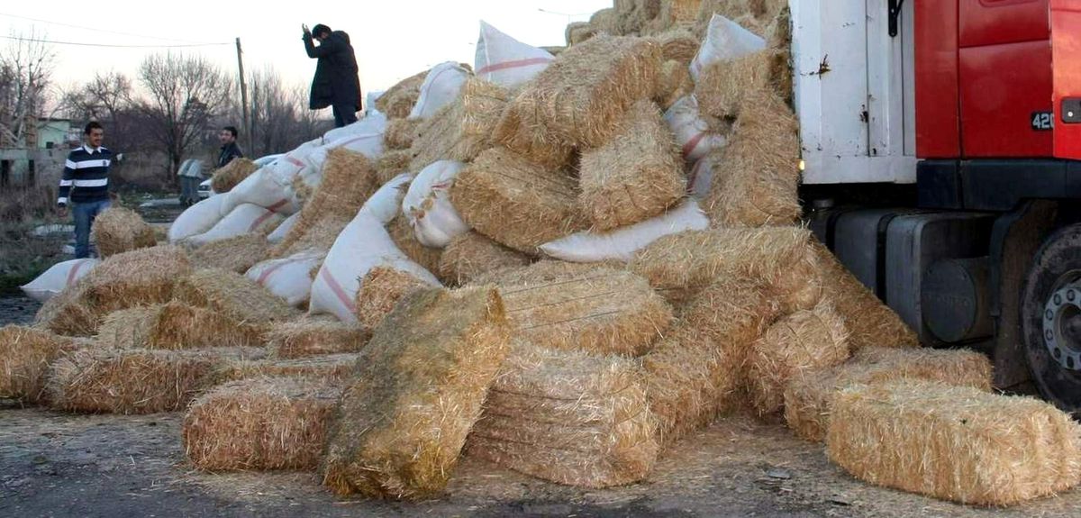 Hayvan Yetiştiricileri Artan Maliyetlere Karı Direniyor