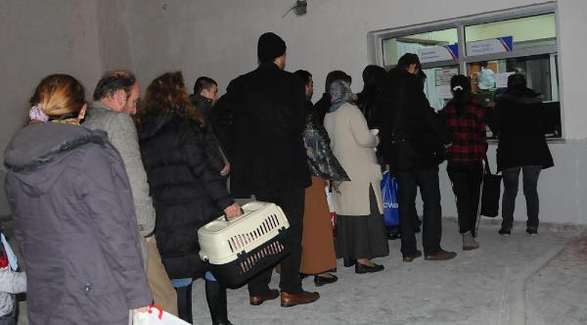 Tcdd\'den Evcil Hayvanlara Yüzde 50 İndirim