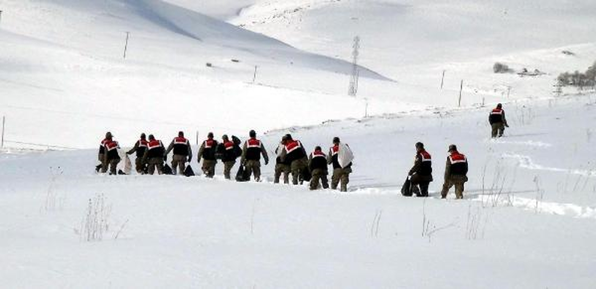 Yaban Hayvanları İçin Doğaya Yem Bırakıldı
