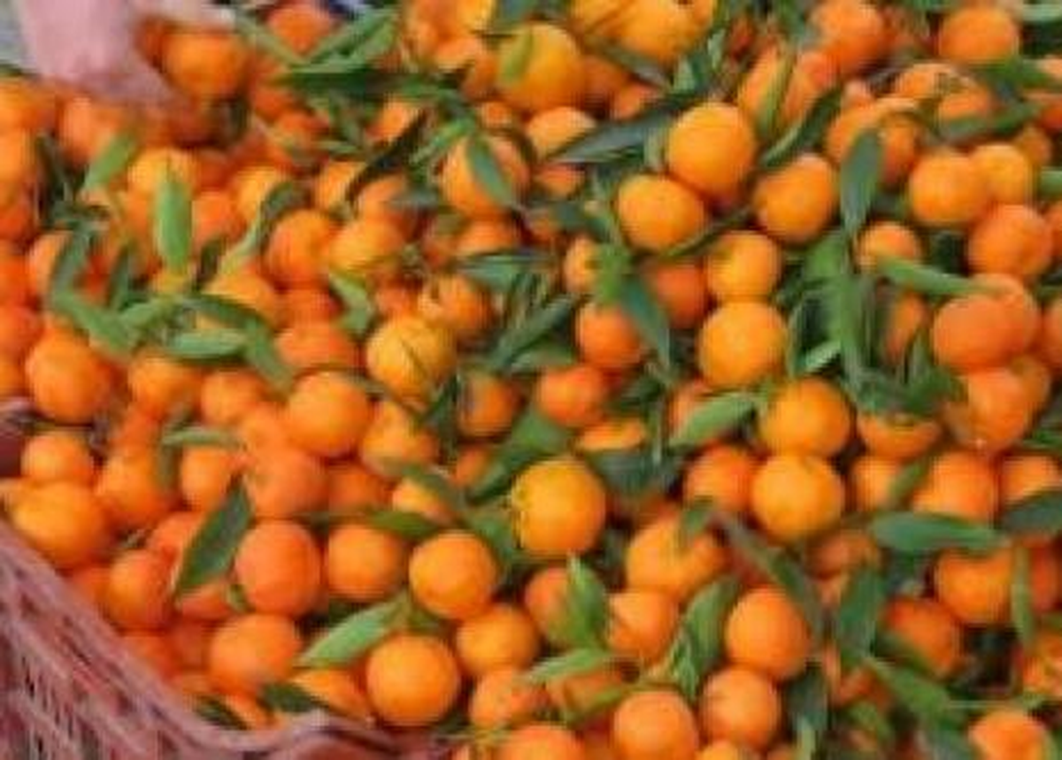 Zam Şampiyonu Mandalina Oldu