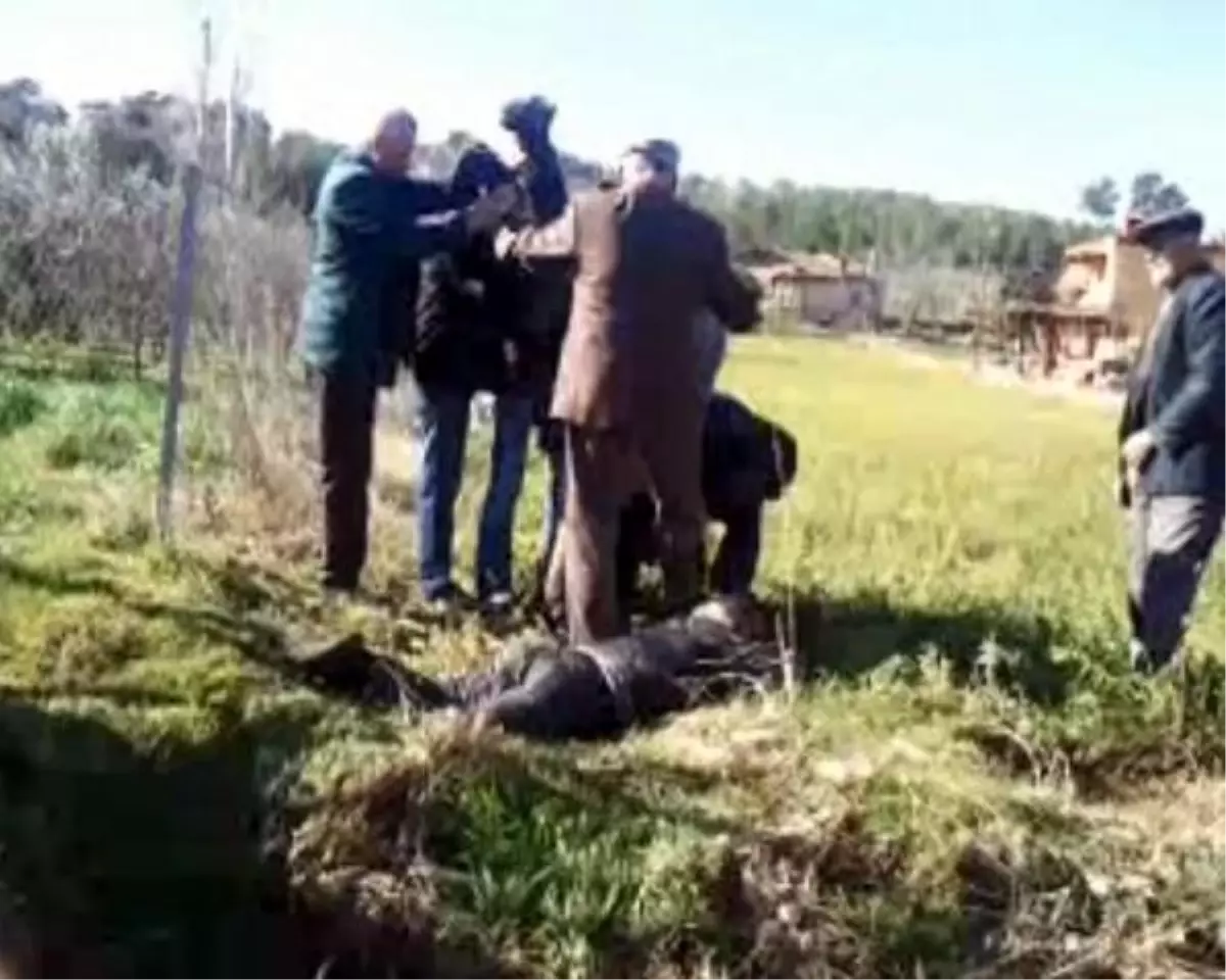 Sulama Kanalına Uçan Motosikletteki 2 Kişiyi Kurtarırken Öldürüyorlardı