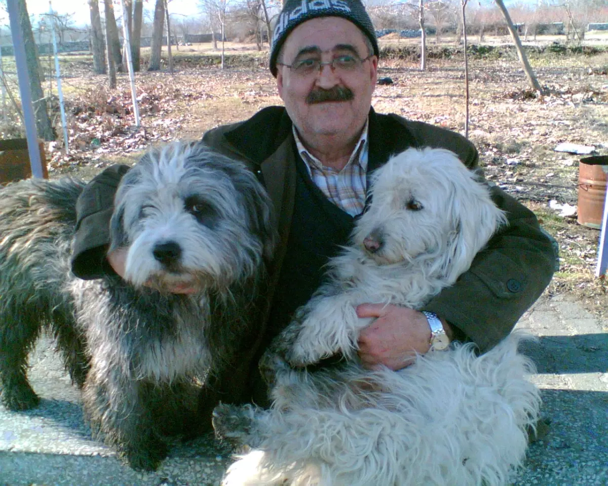 35 Yıllık Memurun Köpek Yüzünden Lojmandan Çıkarıldığı İddiası