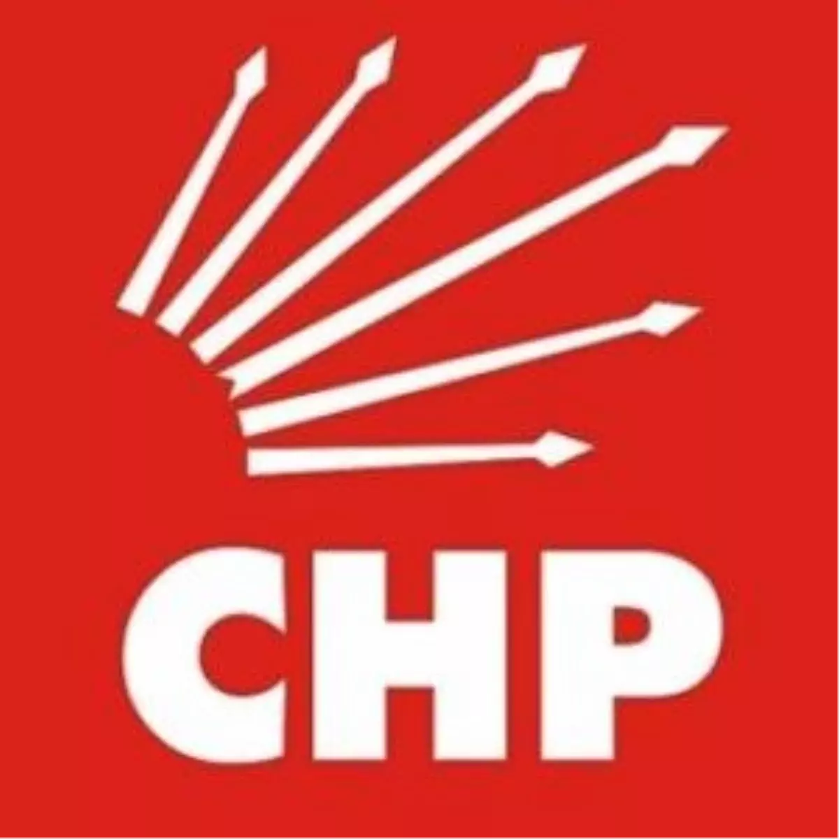 Chp Almanya\'da 8 Birlik Açtı