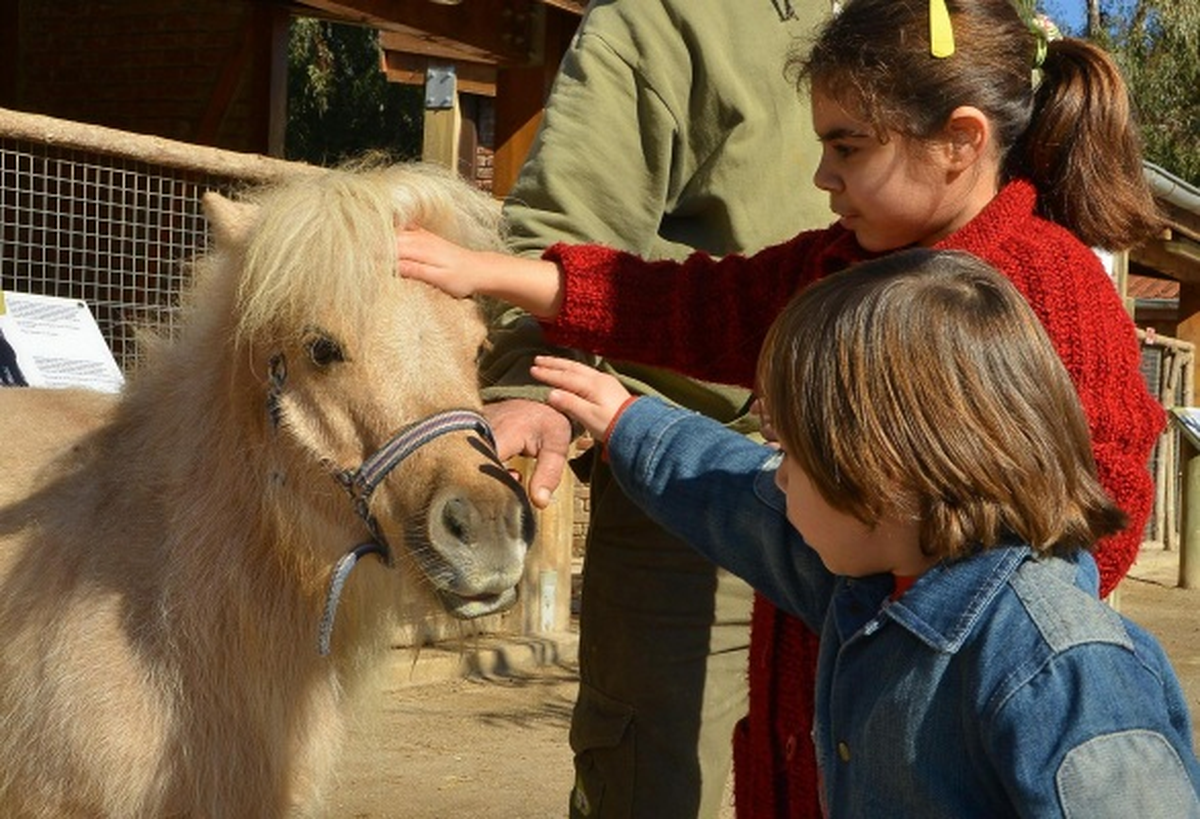 Doğal Yaşam\'da "Kısa Tatil" Bereketi