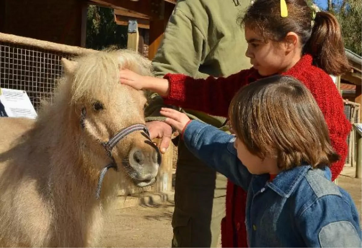 Doğal Yaşam Parkına Ziyaretçi Akını