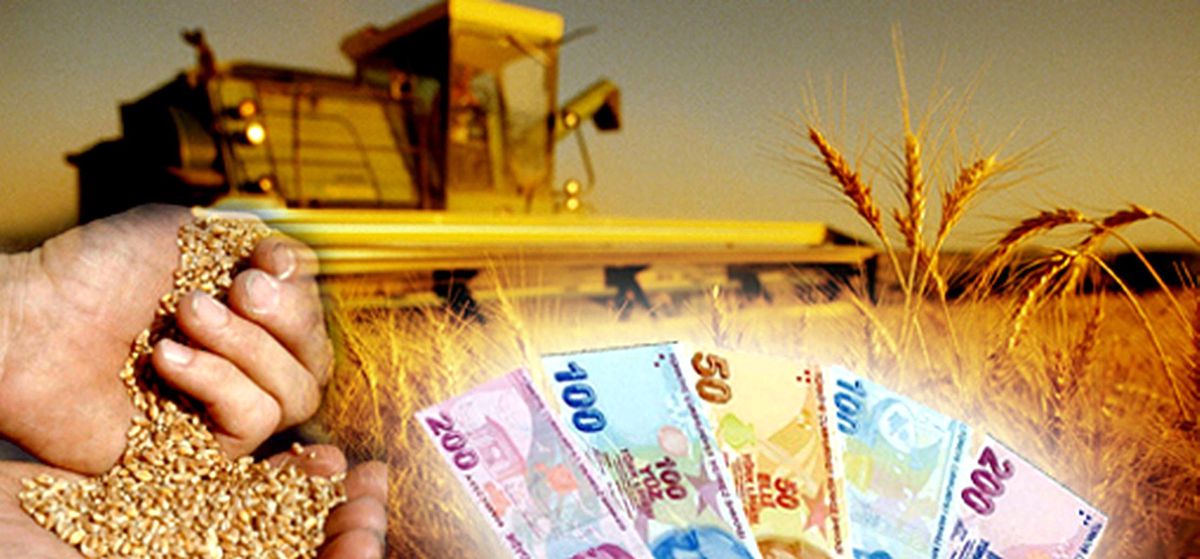 Üreticiye 253 Milyon TL\'lik Destek