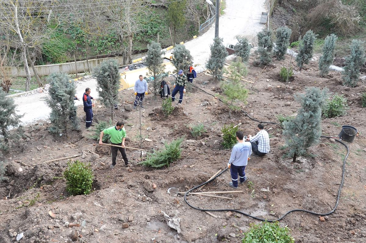 Başiskeleye Bu Yıl 10 Bin Ağaç Dikilecek