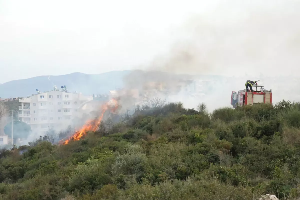 Didim\'de Makilik Yangını Korkuttu