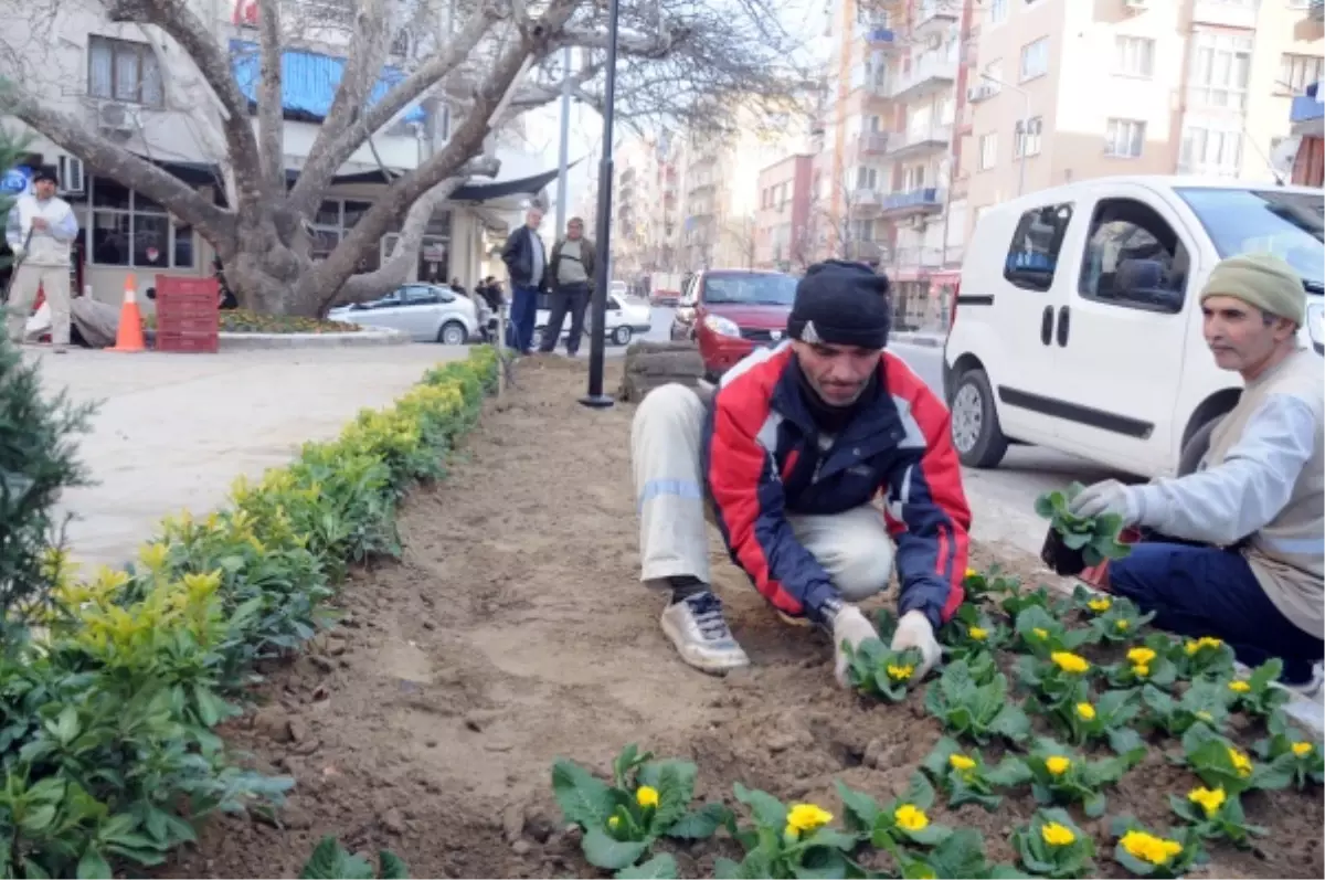 Dış Mahalleye Yeni Sosyal Alan