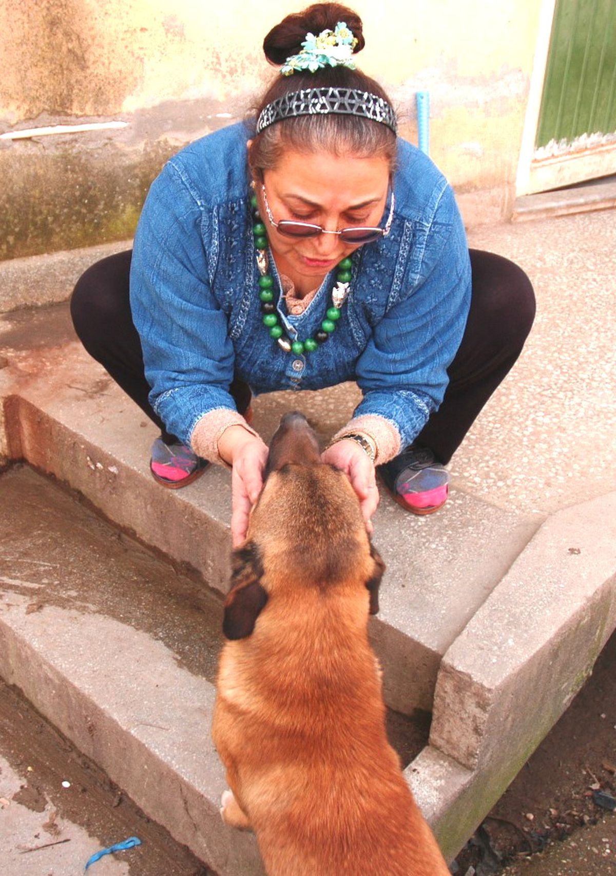 Sokak Sokak Çalınan Köpeğini Arıyor