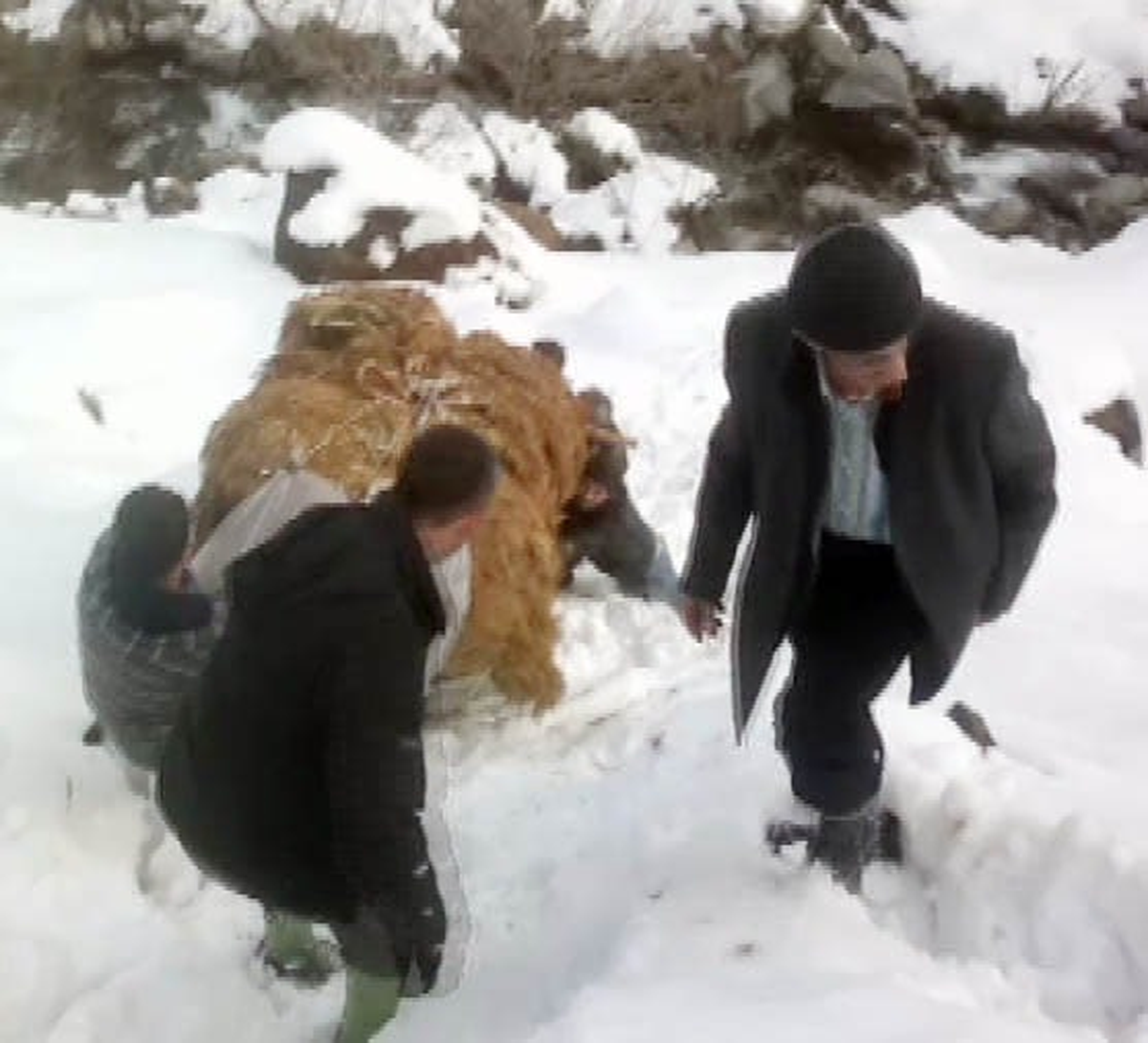Dağlardan Ot Taşıyan Köylülerin Çilesi