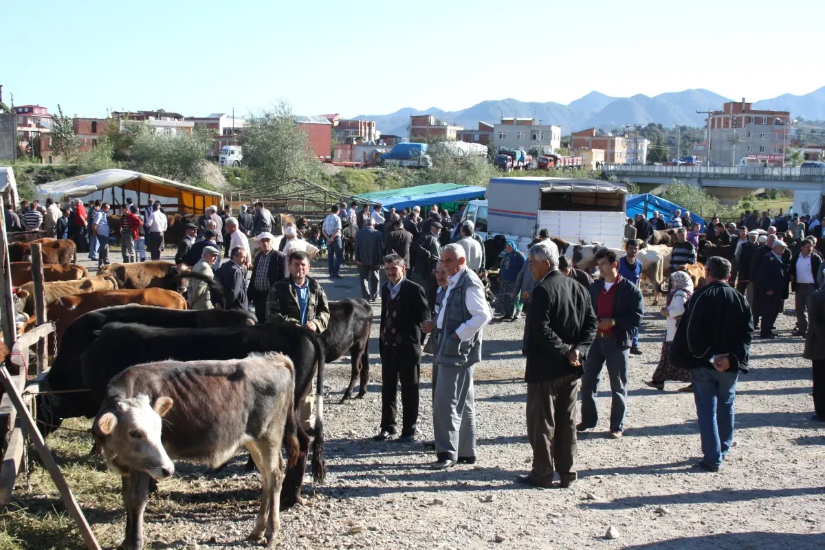 Giresun\'da Hayvan Pazarı Karantina Altına Alındı