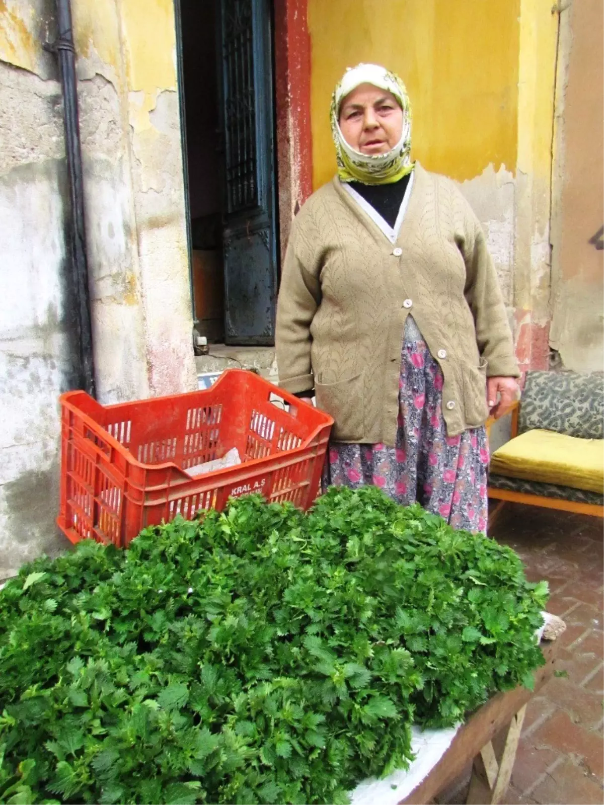 Her Derde Deva Isırgan Otu Köylü Pazarlarında