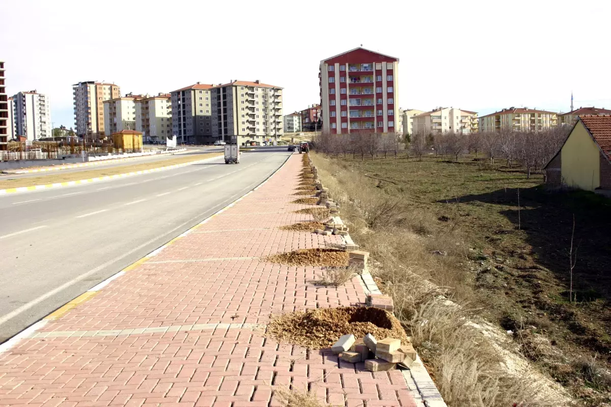 Uşak Belediyesi 6 Bin Fidan Dikti