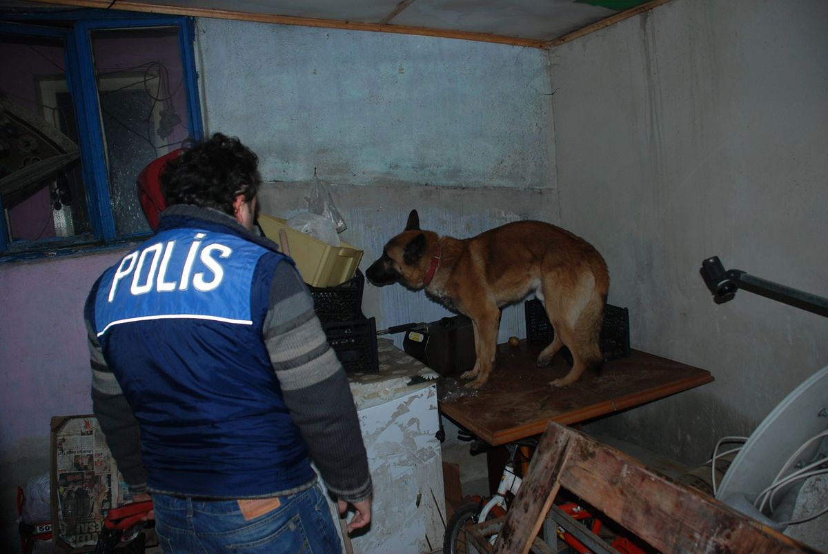Çorlu Kom Ekipleri 20 Paket Bonzai Ele Geçirdi