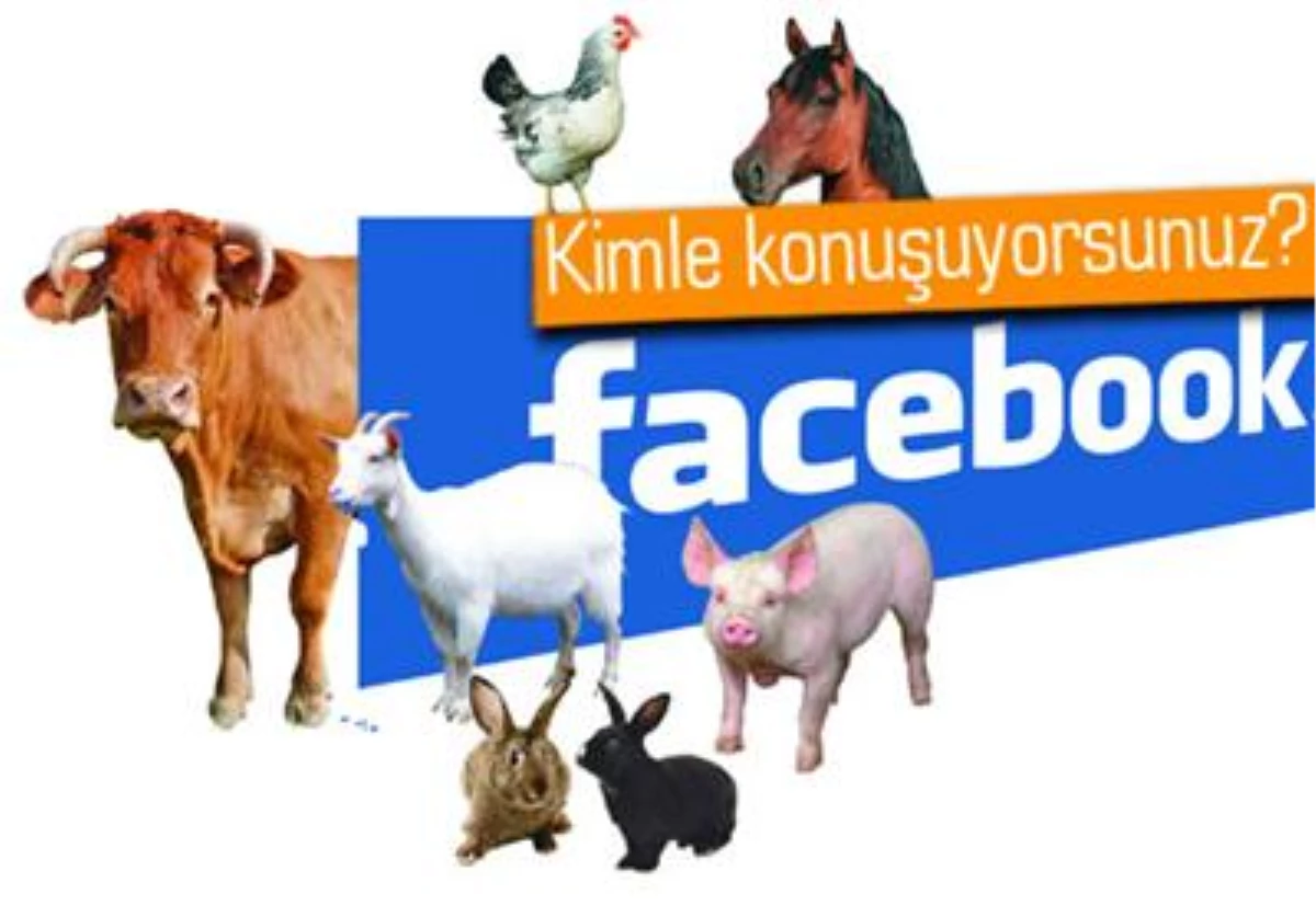 Facebook\'taki Milyonlarca Fake Hesap ve Hayvan Sayfaları