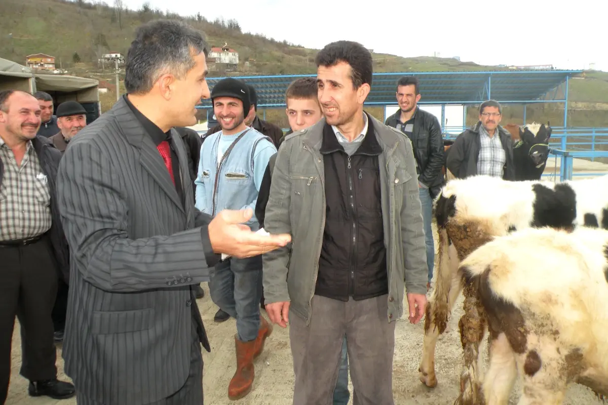 Hayvan Pazarına Getirilen Hayvanlar İçin Para Almak Yerine Para Veriyorlar