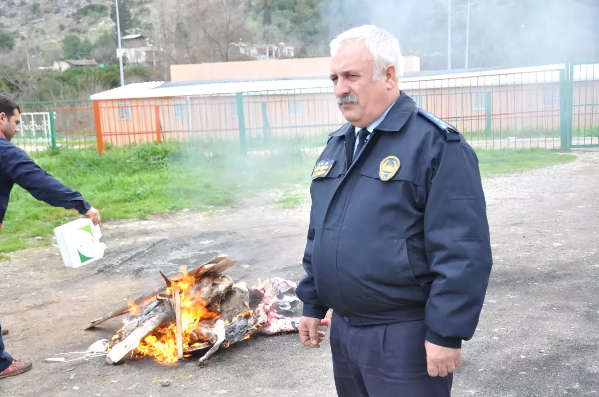 Kozan\'da Kaçak ve Sağlıksız Et ile Mücadele