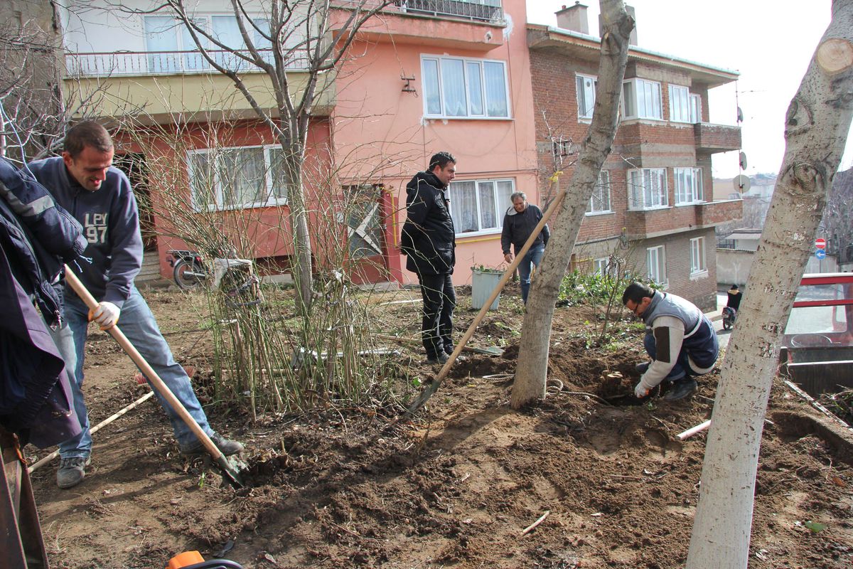 Çevre Düzenleme Çalışmaları Devam Ediyor