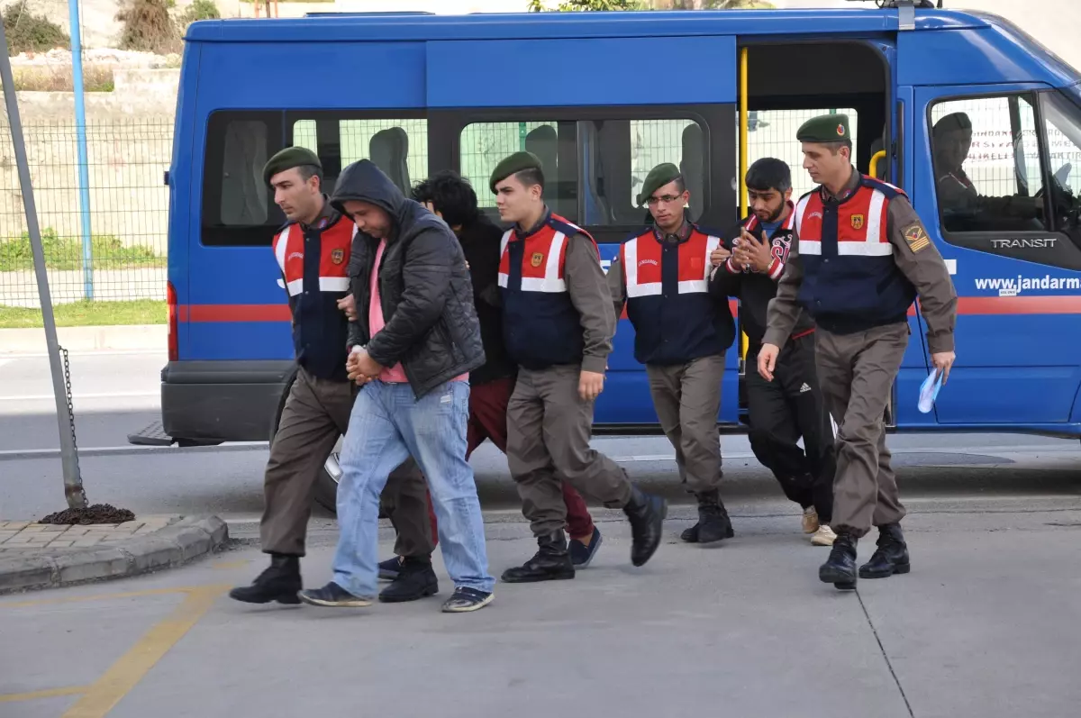 Tomruk Hırsızları Suçüstü Yakalandı