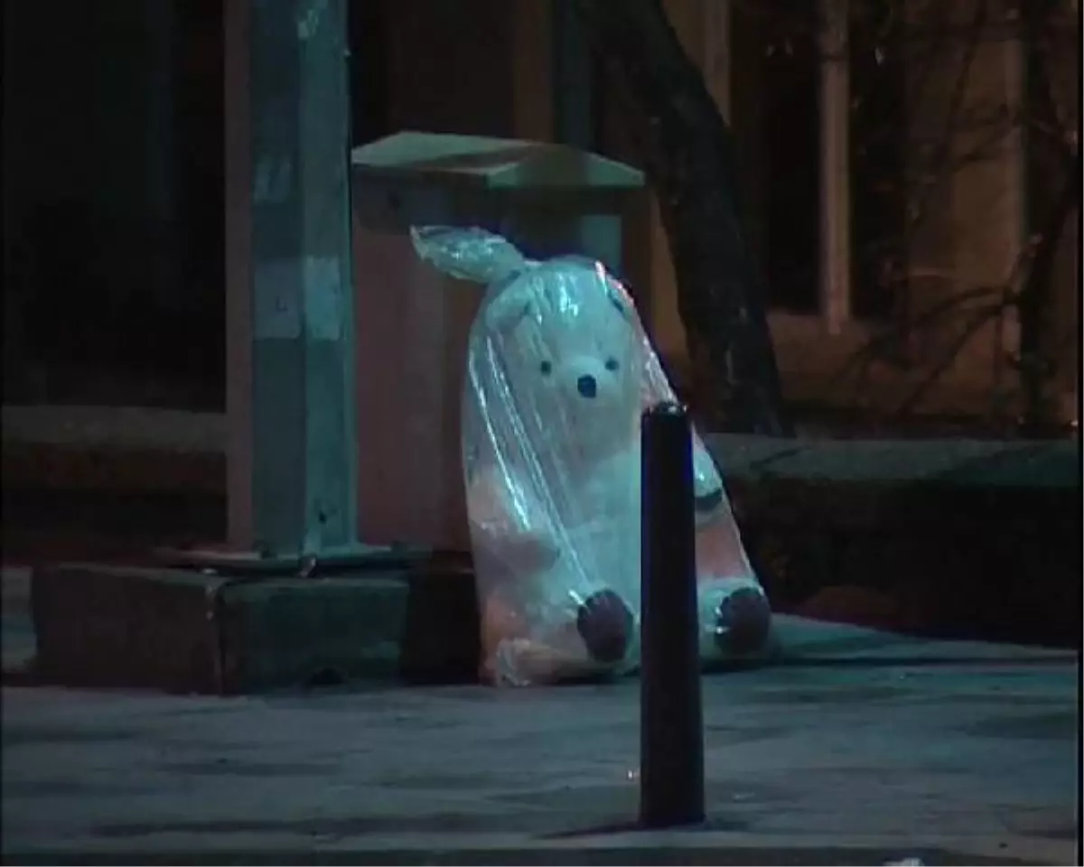 Beyoğlu\'nda "Şüpheli Ayıcık" Alarmı