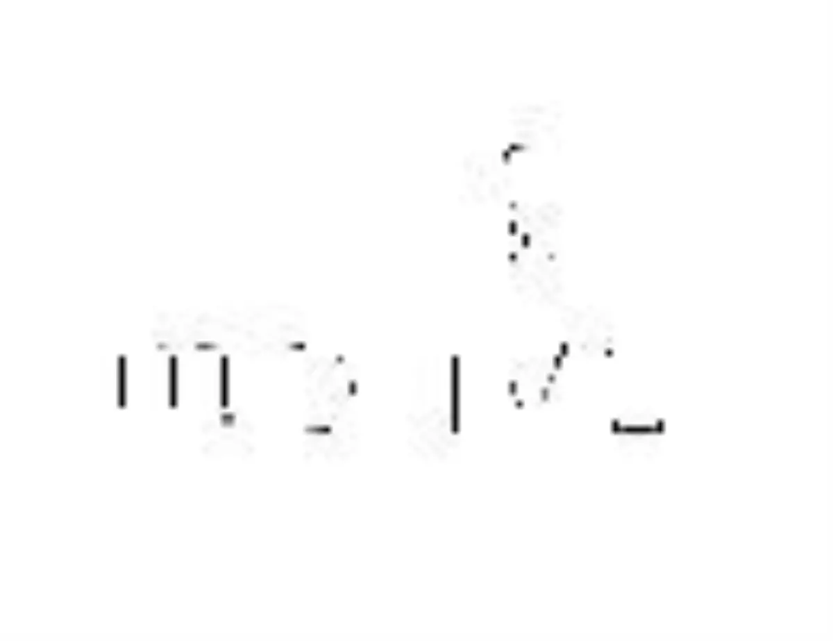 İngilizce Psikoterapi ve Psikolojik Danışmanlık