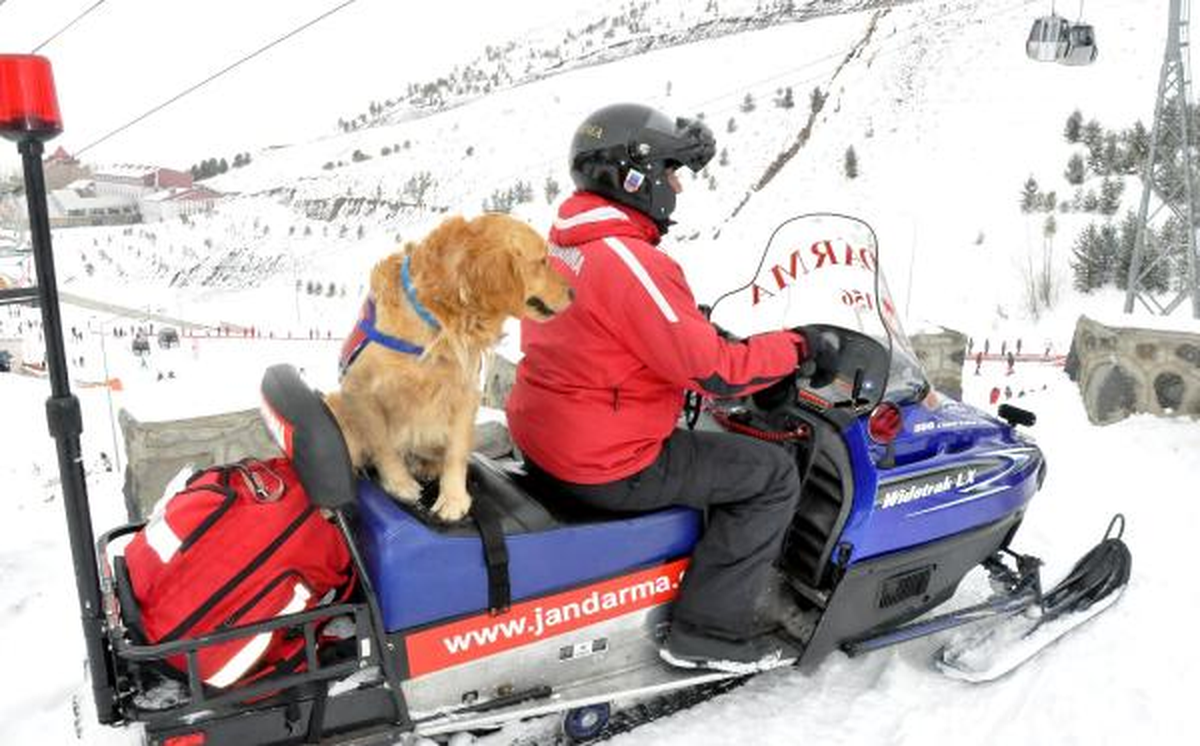 Palandöken\'de Jandarma\'nın Eğitimli Köpeklerine Yoğun İlgi