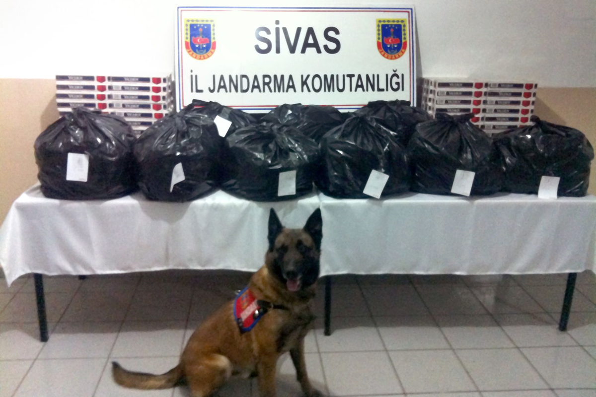 Sivas\'ta Uyuşturucu Operasyonu
