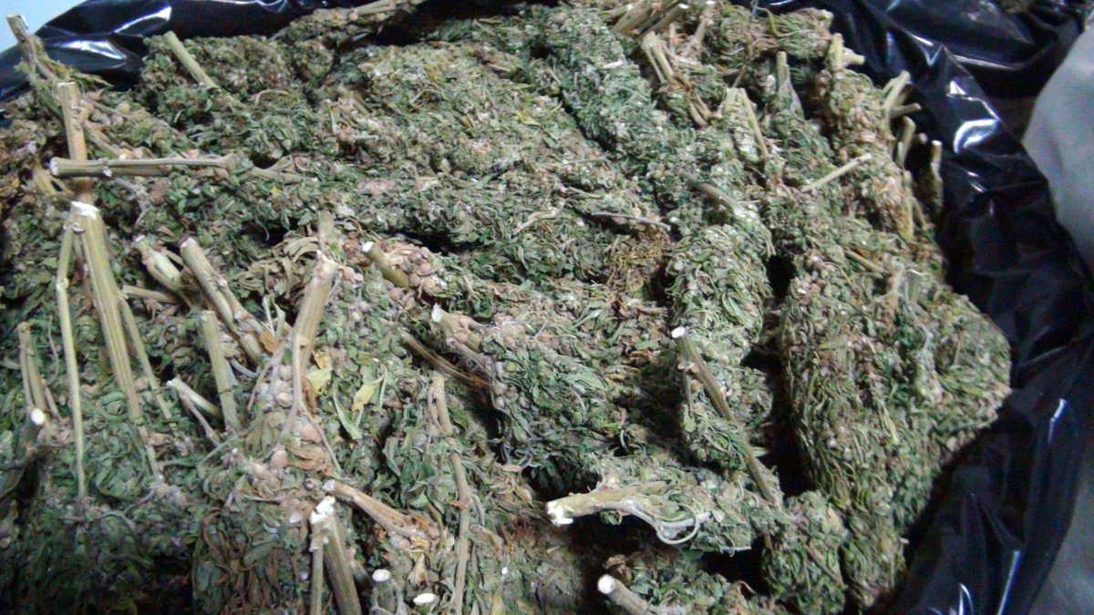 Çubuk\'ta 200 Gram Esrar Ele Geçirildi