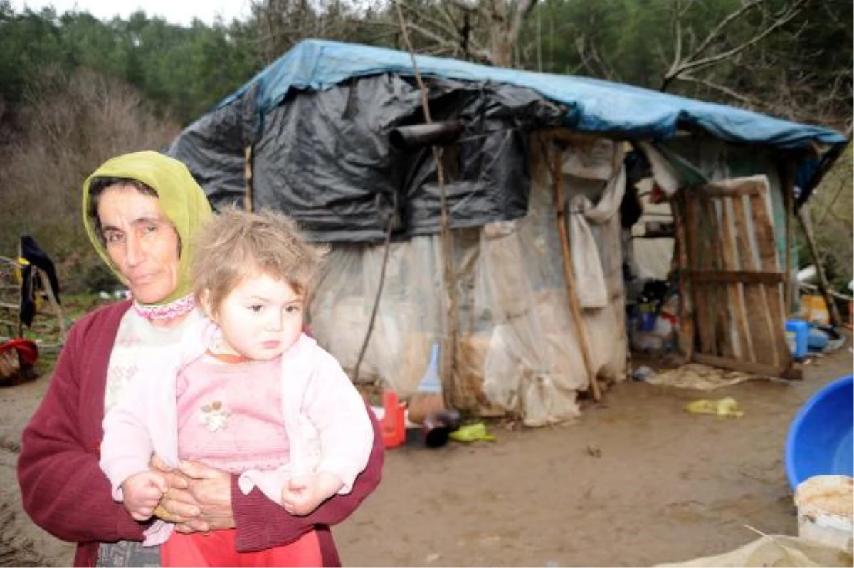 Ormanda Çadırda Yaşayan Aileye Belediyeden Yardım