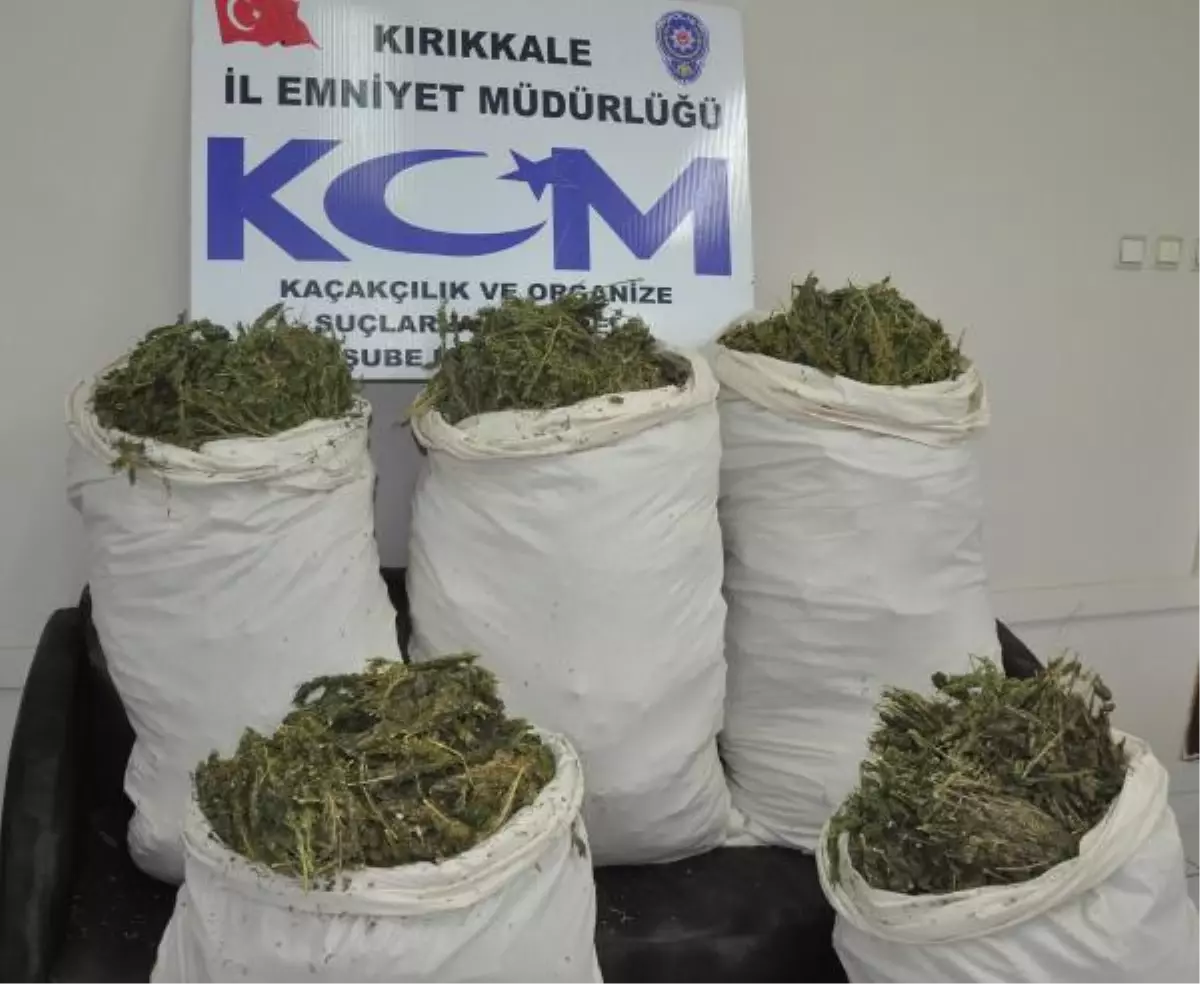 Polisten Kaçmaya Çalışan 2 Otomobilde 80 Kilo Esrar Ele Geçti