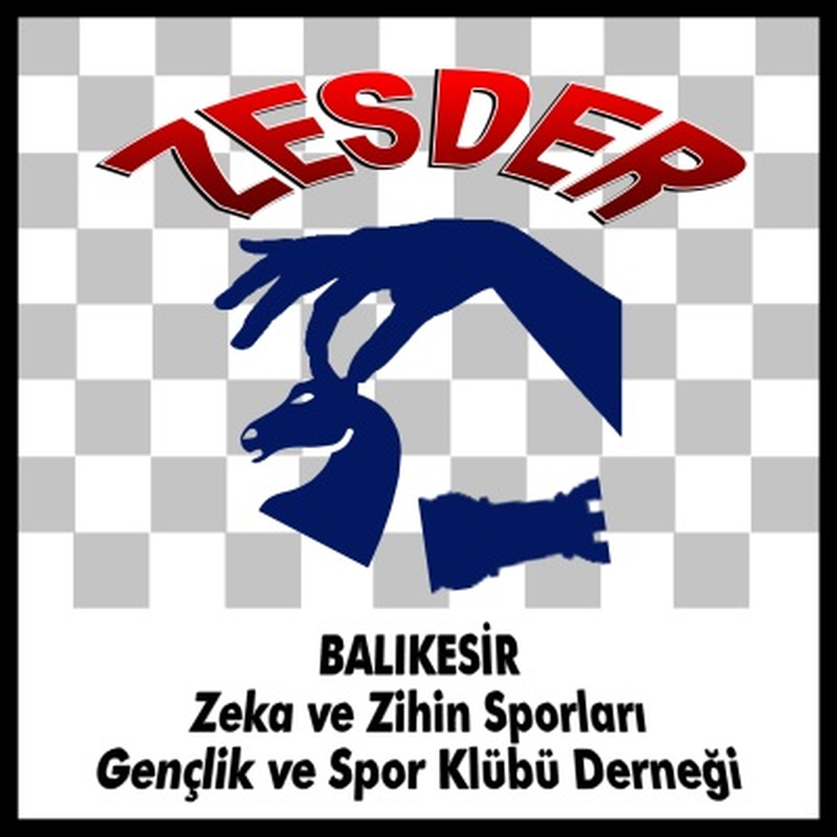 Zekâ ve Zihin Sporları Spor Kulübü Kuruldu