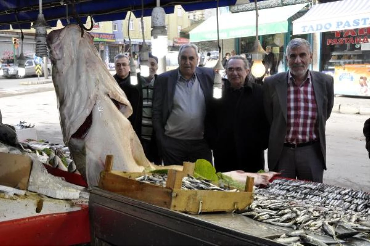 Elazığ\'da 97 Kiloluk Turna Balığı Yakalandı