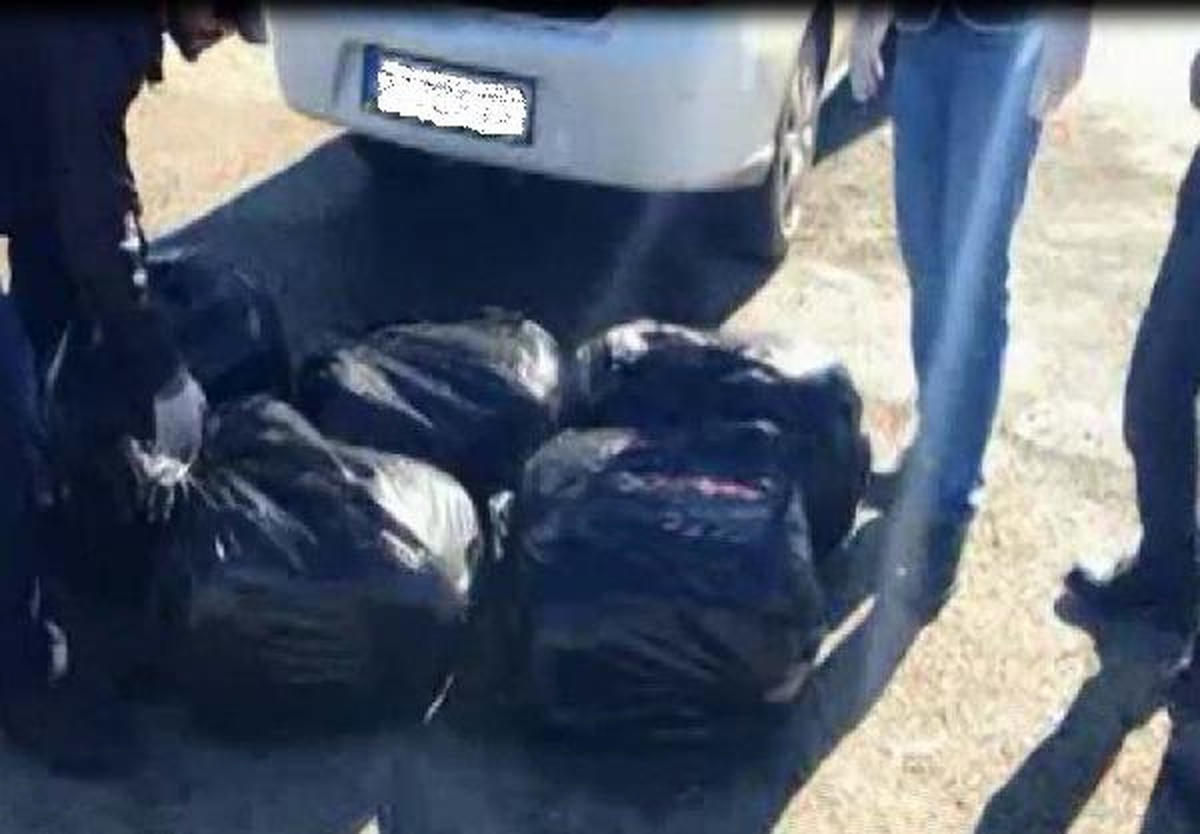 Adana\'da 1 Haftata 185 Kilo Esrar Ele Geçirildi