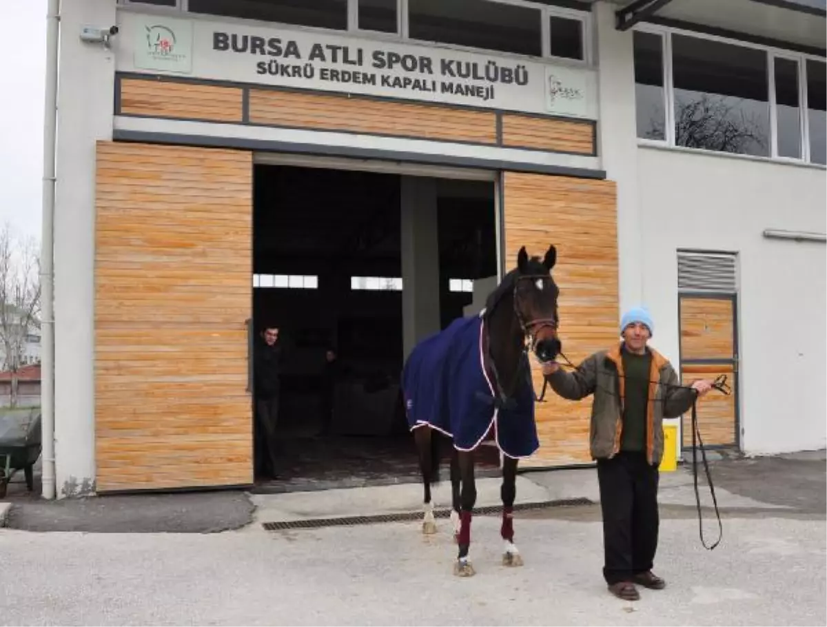 Atlarla Engelini Aştı, Ekmeğini Kazanmaya Başladı