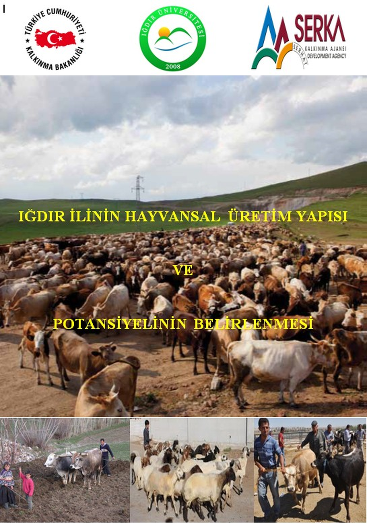 Iğdır\'ın Hayvansal Üretim Yapısı ve Potansiyeli Araştırılacak