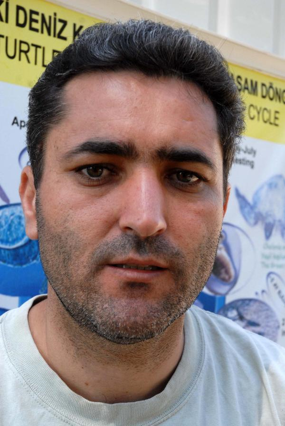 Kaplumbağalar Ölüyor
