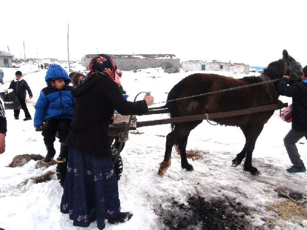 Kars\'ta At Arabasıyla Taşımalı Eğitim