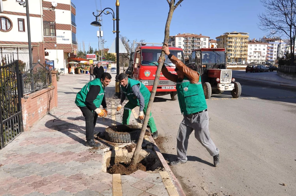 Malatya Belediyesi Ağaçlandırmaya Önem Verdi