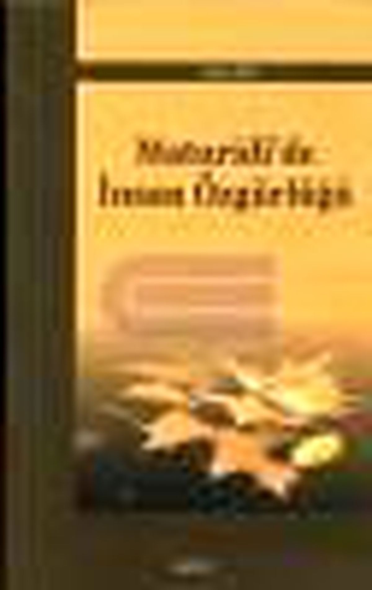 Maturidi\'de İnsan Özgürlüğü