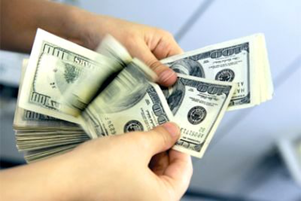 Merkez Bankası Döviz Kurları